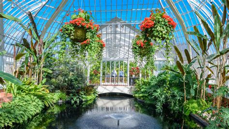 Phipps conservatory coupon